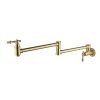 Pot faucet wall-mounted faucet (gold)